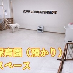 犬の保育園・デイケア「鎌ケ谷ドッグス」 - ペット