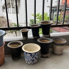 生活雑貨 家庭用品 ガーデニングの画像