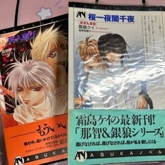 那智&銀狼シリーズ2冊セット