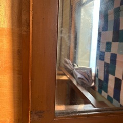 受渡者予定済姿見の画像