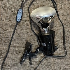 爬虫類 爬虫類用品 GEX ソーラーグロー ライトセット