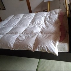 ダブルベット