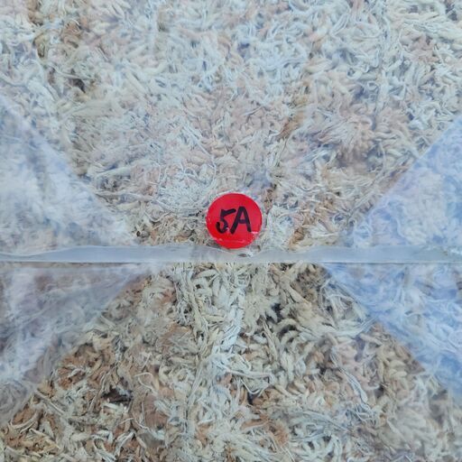乾燥水苔　ニュージーランド産　5A　５０ｇ