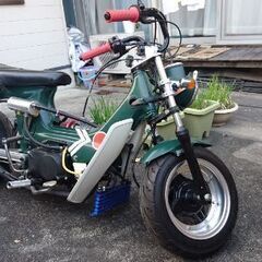 シャリー 値下げ⤵️(キャリィと交換お願いします🙇‍♂️⤵️)の画像