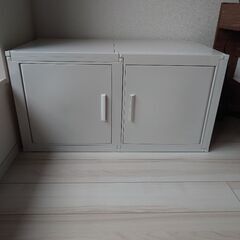 ★冷やし虫家★超美品★