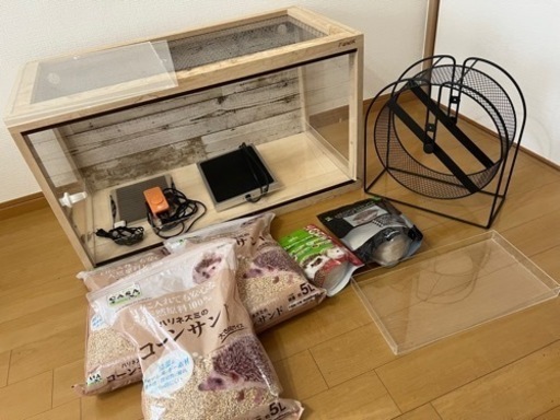 ハリネズミ飼育セット