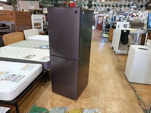 ✨安心の除菌洗浄済✨SHARP 2021年製 280L 2ドア冷蔵庫 SJ-PD28G-T【愛市IR016802-104】