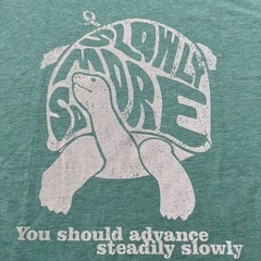 🐢古着⭐︎Tシャツ