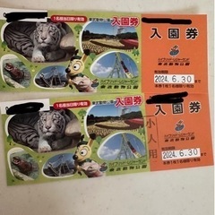 東武動物公園 大人 子どもチケット 1枚ずつ