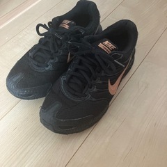 ナイキエアnikd air24.0