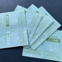家族で、、秘湯、混浴、湯治❤️‍🩹温泉好きな方　必見　🤪🤪🤪入浴...