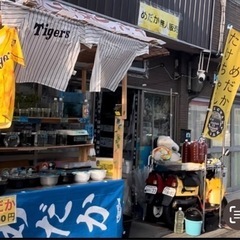 めだか掬い 改良めだか販売   7月6日 7月7日