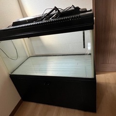 7月中／水槽セット