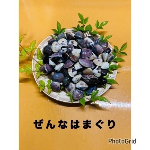 ③九十九里産　活はまぐり（ぜんなはまぐり3キロ）