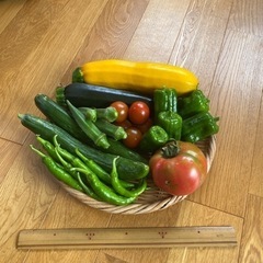 🍅夏野菜つめあわせ🫑