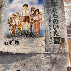 少年たちのいた夏の画像