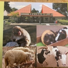 宝登山小動物公園特別入園券