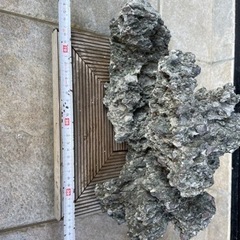 値下げ　盆栽植え付け石　の画像