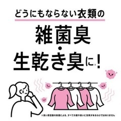 洗技 生乾き臭防止スプレー ( 300ml )の画像