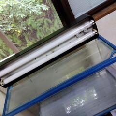 水槽セットの画像