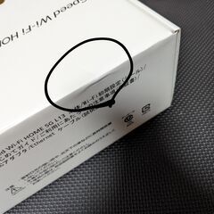 【ネット決済・手渡し・配送可】Speed Wi-Fi HOME 5G L13の画像