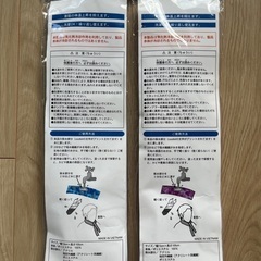 未使用品★Disney ディズニー TDR クールバンダナ 2個セットの画像