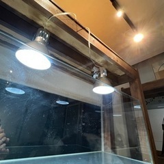 ADA ガラス 120cm　水槽 の画像