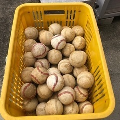 スポーツ 野球