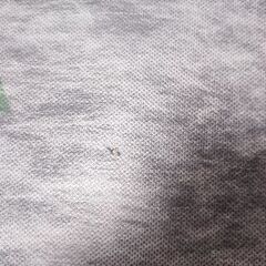 遮音シート TS-20 (防音シート) 1.5m (2本)の画像