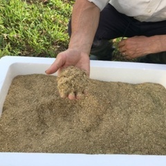 竹パウダー　約4kg