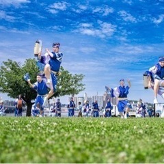 【初心者歓迎！阿波おどりメンバー募集！】湘南なぎさ連  - その他