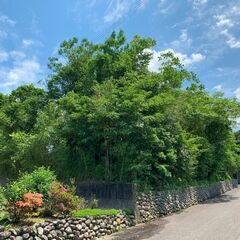 鹿児島県薩摩川内市入来町浦之名【売地】入来麓武家屋敷群内宅地約225坪650万円 - 薩摩川内市