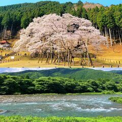 【入居者様 決定しました🙇‍♂️】🉐本巣市根尾板所6DK戸建て+ガレージ🉐初期費用ほぼ無料・家賃46,000円・駐車場5-6台可🉐格安お家賃🉐１ヶ月間フリーレント🉐庭あり🉐ペット飼育可能!!多頭飼いOK!!🉐生活保護OK!!🉐事務所や店舗利用OK!!🉐外国籍OK!! English OK🉐DIY好きなようにOK🉐本巣市根尾板所 - 不動産