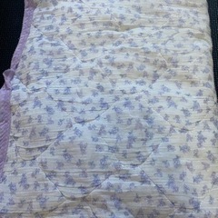 無料　難あり　敷パッド　シングル