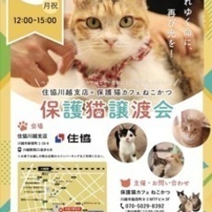 【保護猫譲渡会 in 住協川越支店】