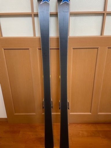 スポーツ スキー