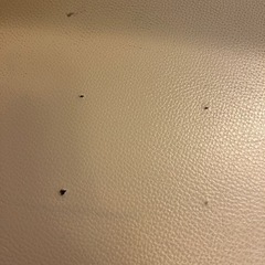 家具 椅子 ダイニングチェアの画像