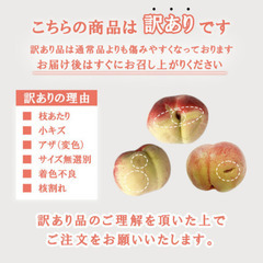【6/30受取限定】完熟桃　1玉150円 　山梨県産のあま～い桃「アウトレット品」「ひと夏甘ーいももいで」訳ありの画像
