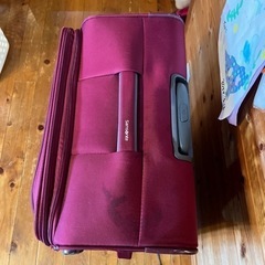 サムソナイト　ソフト　スーツケース
の画像
