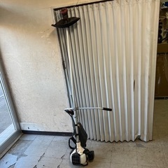 ECHO エコー EGT300DX 草刈機 の画像