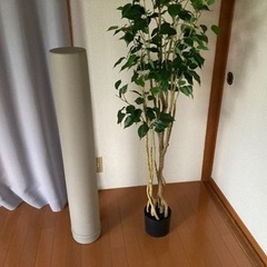 【ニトリ】フェイクグリーン