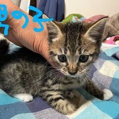 よろしくお願いします(⋆ᴗ͈ˬᴗ͈)”