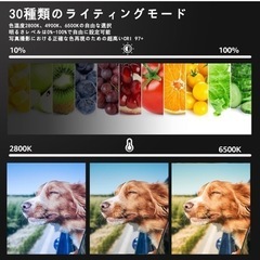 撮影用照明ライト　照明　ライト　の画像