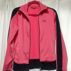 PUMA レディース ジャージ上