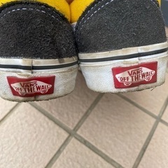 vans スニーカーの画像