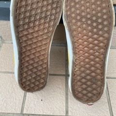 vans スニーカーの画像