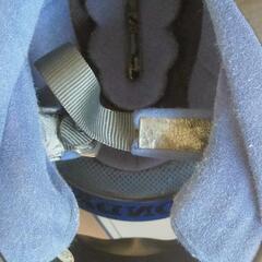 セナヘルの画像