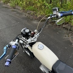 【HONDA エイプ】80ccボア登録 アップハン、社外Fディスク仕様 実動車 の画像