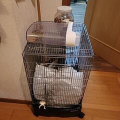 小動物用ケージ、その他備品