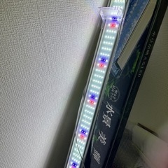 PGスーパークリア　1200 ニッソー　★ 水槽用　照明　ライト の画像